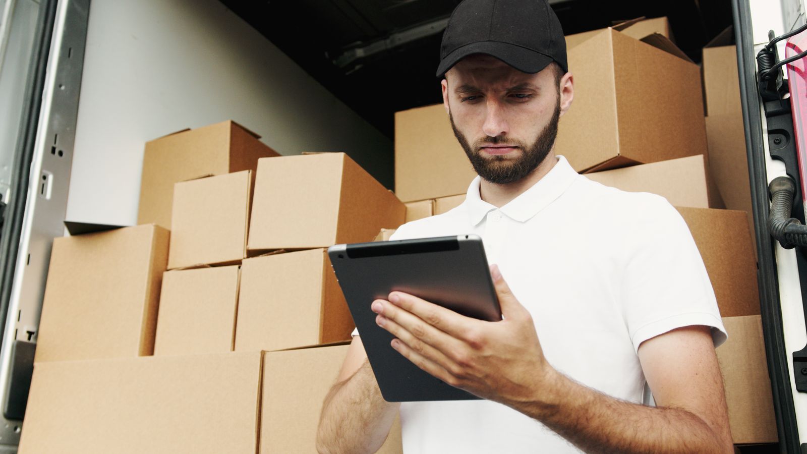 Logistics professional checking shipment information beside commercial cargo